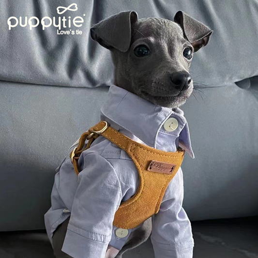 The Classic Harness & Leash Set
