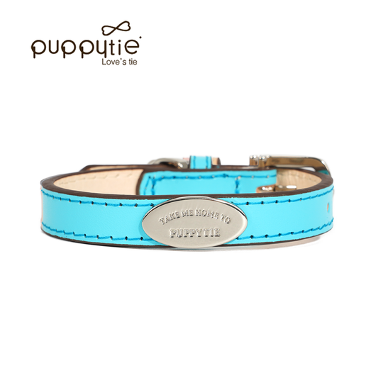 The āTake Me Homeā Collar & Leash Set Harbor Blue
