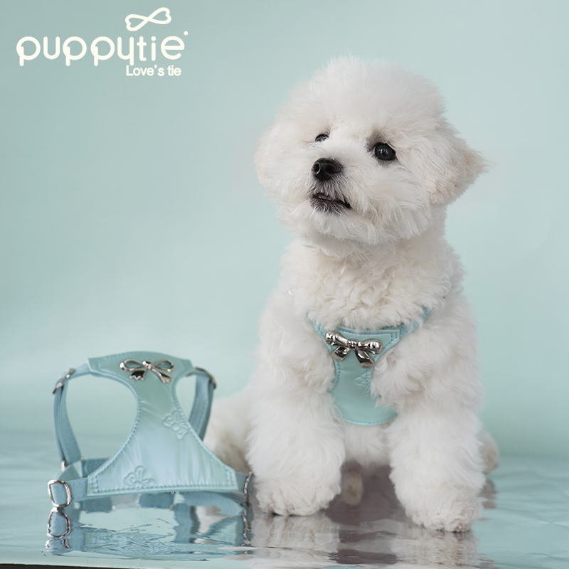 The Metallic Bow Harness & Leash Set