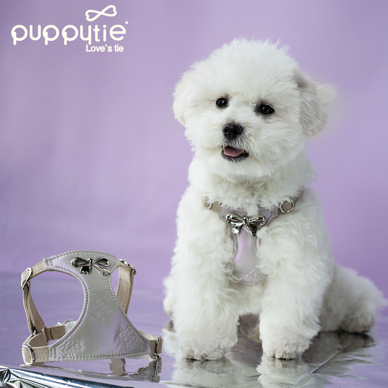 The Metallic Bow Harness & Leash Set