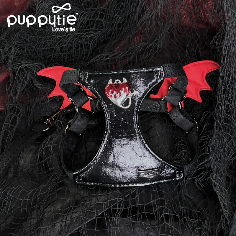 The Wings Harness & Leash Set