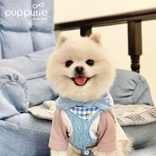 The Denim Turn-Collar Harness & Leash Set