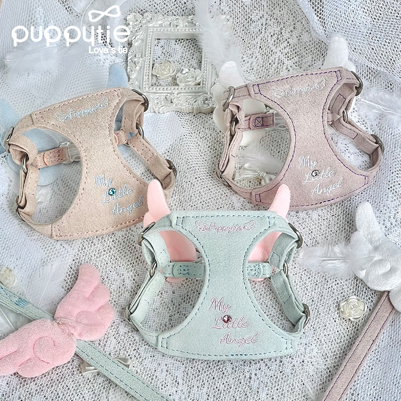 The Wings Harness & Leash Set