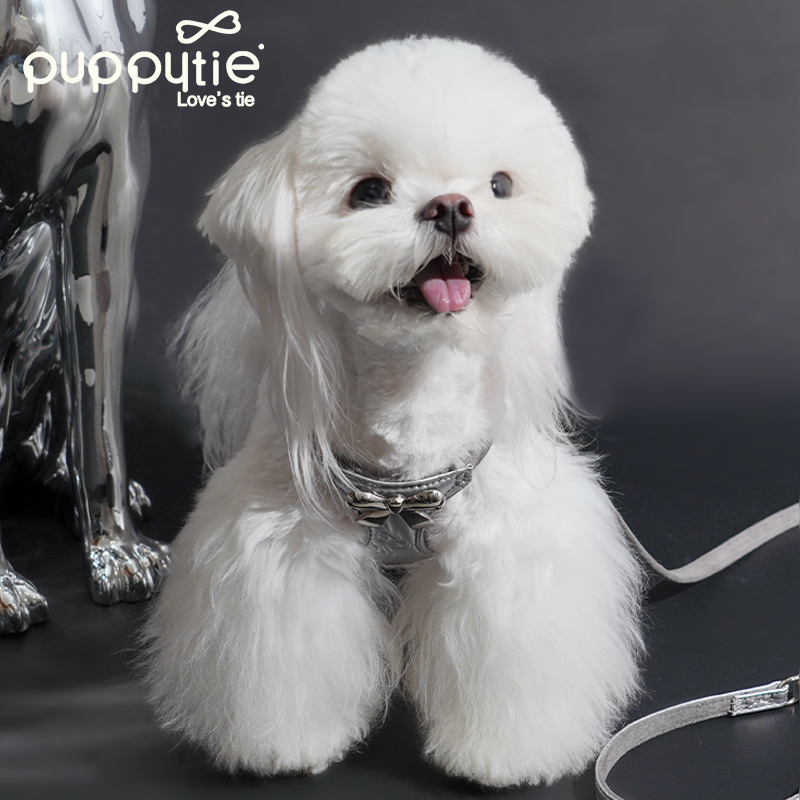 The Metallic Bow Harness & Leash Set