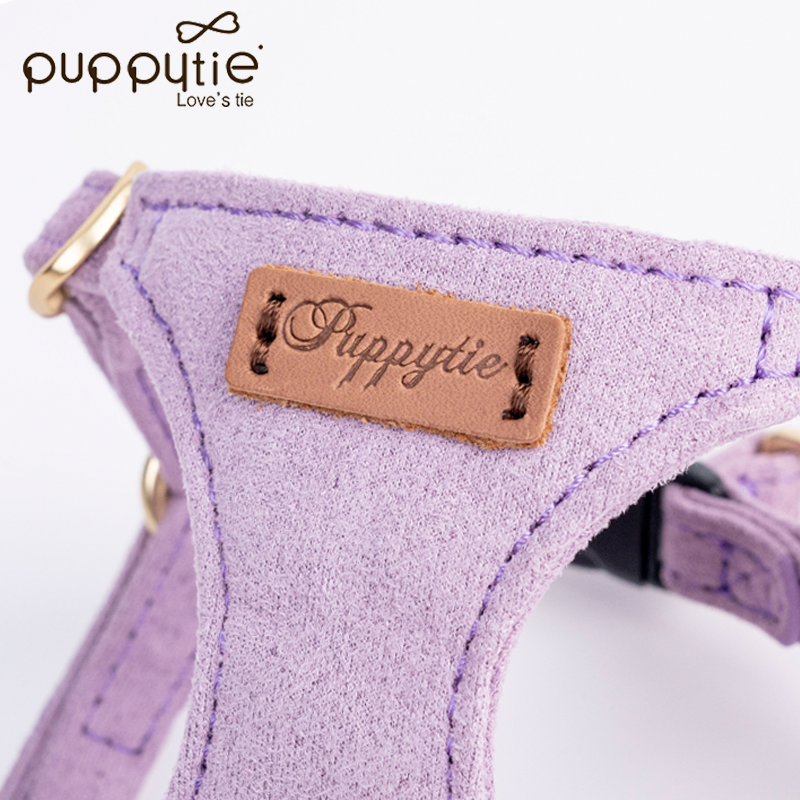 The Classic Harness & Leash Set