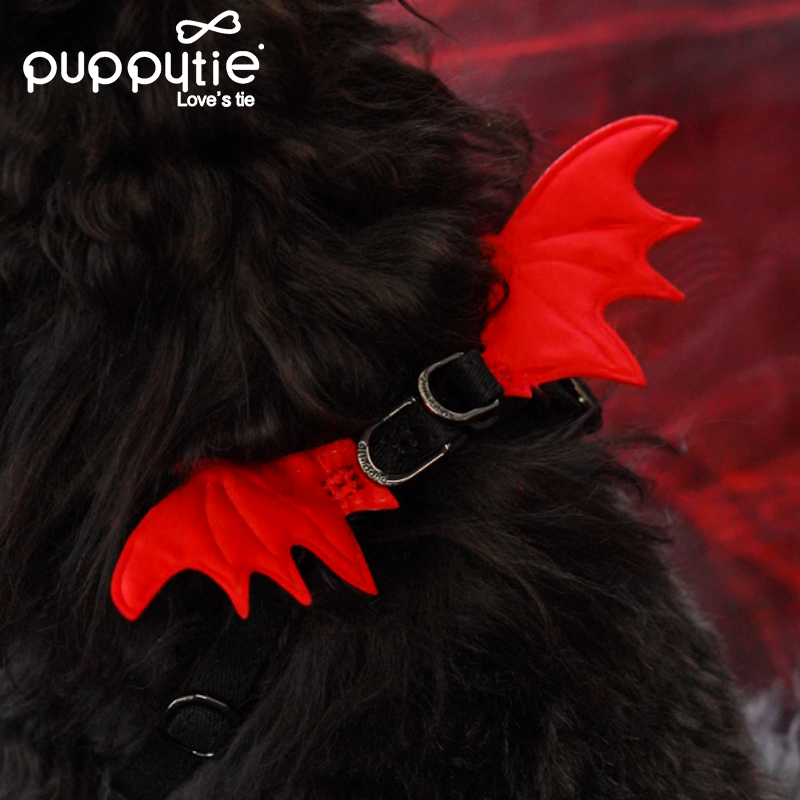The Wings Harness & Leash Set