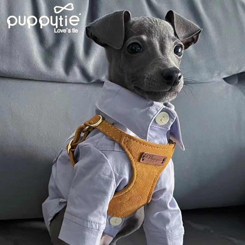 The Classic Harness & Leash Set