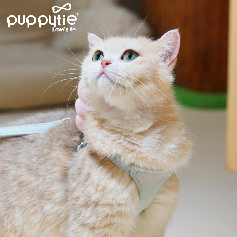 The Wings Harness & Leash Set