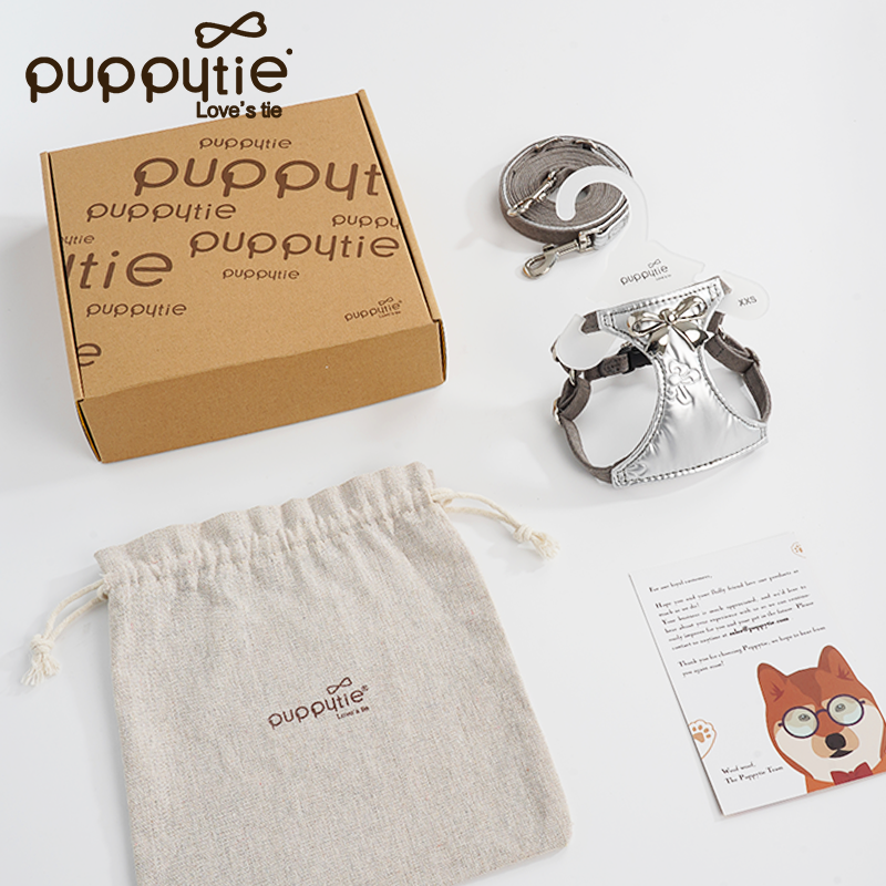 The Metallic Bow Harness & Leash Set
