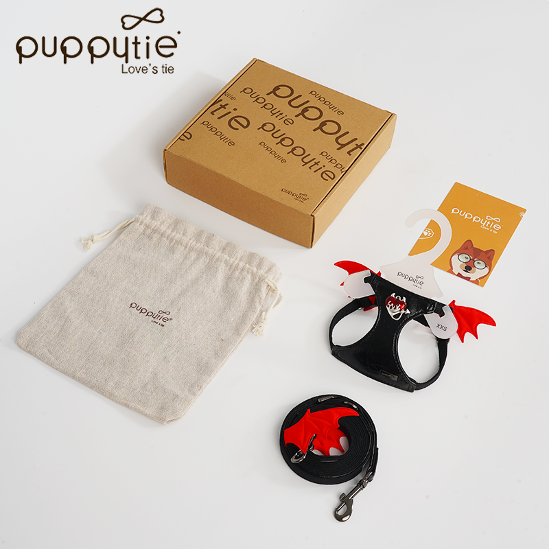 The Wings Harness & Leash Set