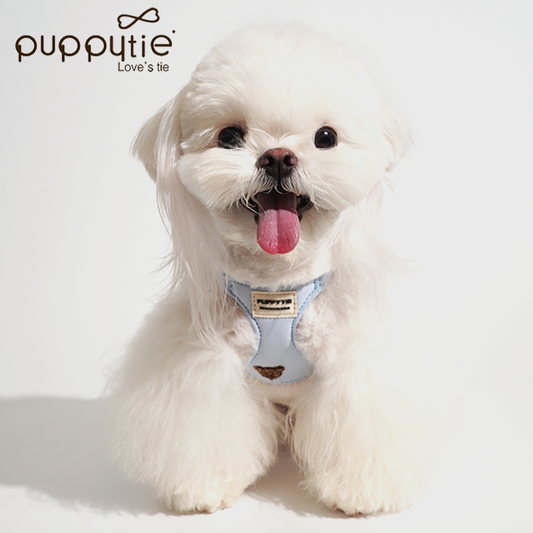 The Baby Bear Harness & Leash Set
