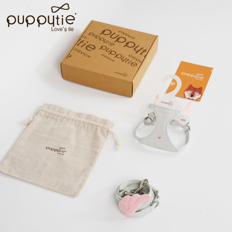 The Wings Harness & Leash Set