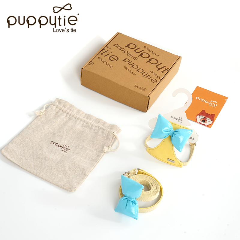 The Bubble Bow Harness & Leash Set