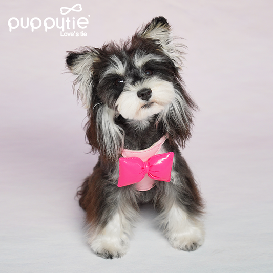 The Bubble Bow Harness & Leash Set