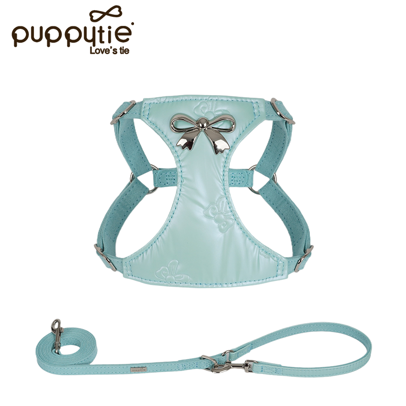 The Metallic Bow Harness & Leash Set Mint Green