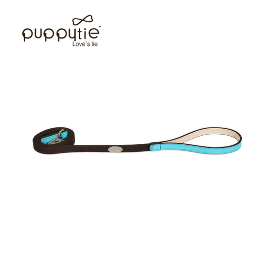 The ‘Take Me Home’ Collar & Leash Set