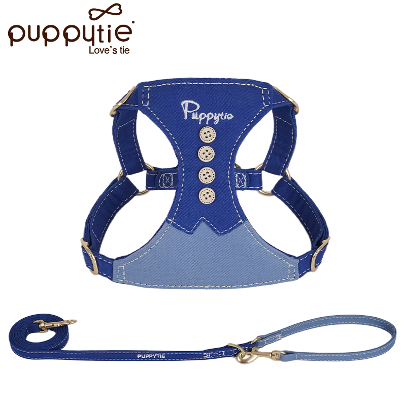 The Explorer Harness & Leash Set Blue Sea Knight (Blue Theme Color)