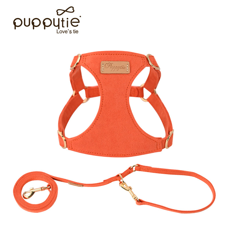 The Classic Harness & Leash Set Vivid Orange