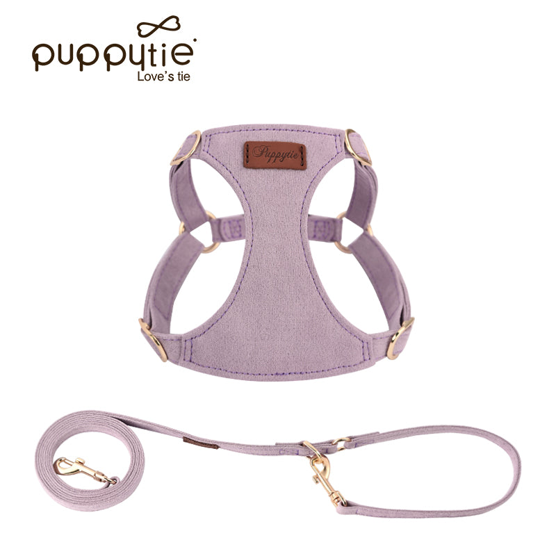 The Classic Harness & Leash Set Taro Purple