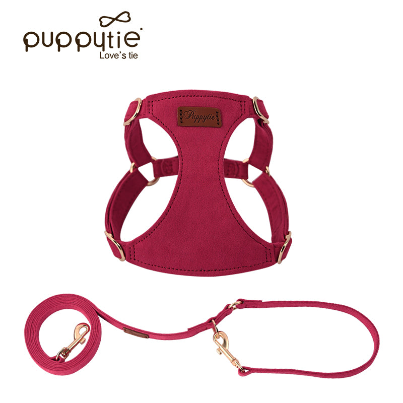 The Classic Harness & Leash Set Sorghum Red